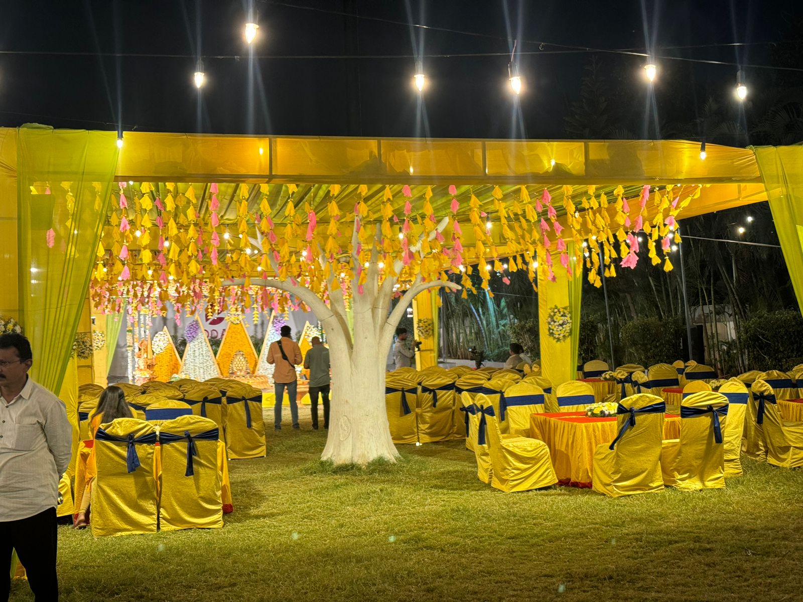 Wedding stage decorators